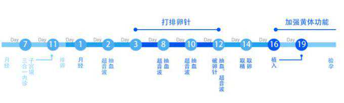 试管婴儿的孕育全过程