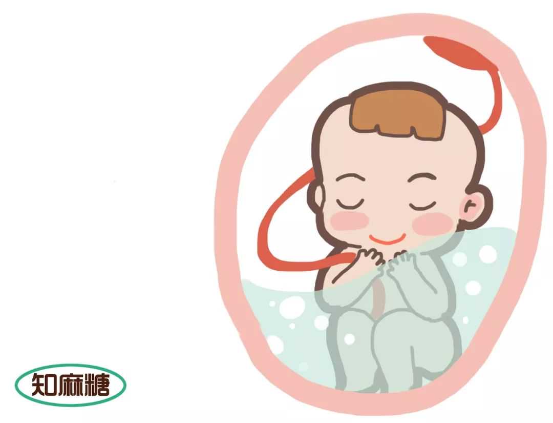 漫画科普：“试管婴儿”是在试管里长大的吗？