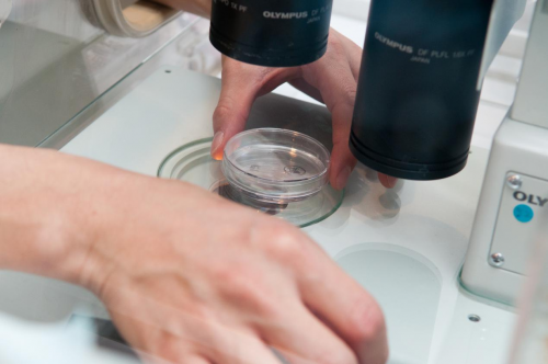 试管治疗并不难，日本英医院YingIVF助力试管新发展