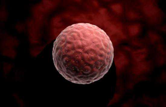 中国试管婴儿30年：无主胚胎库存渐满何去何从？