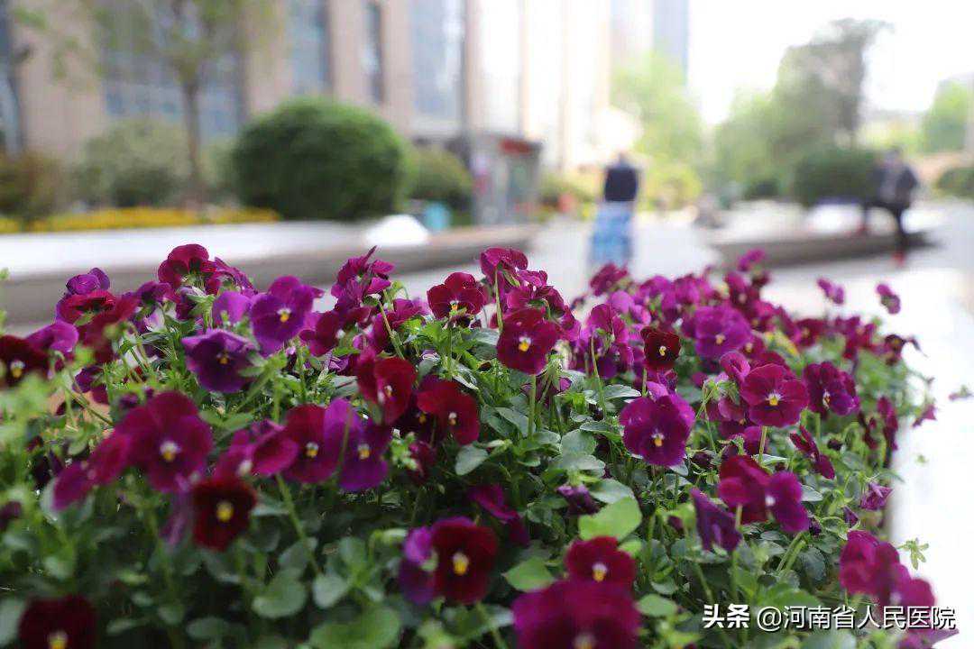 她为了要孩子，经历11次试管婴儿，隐匿“真凶”终于找到