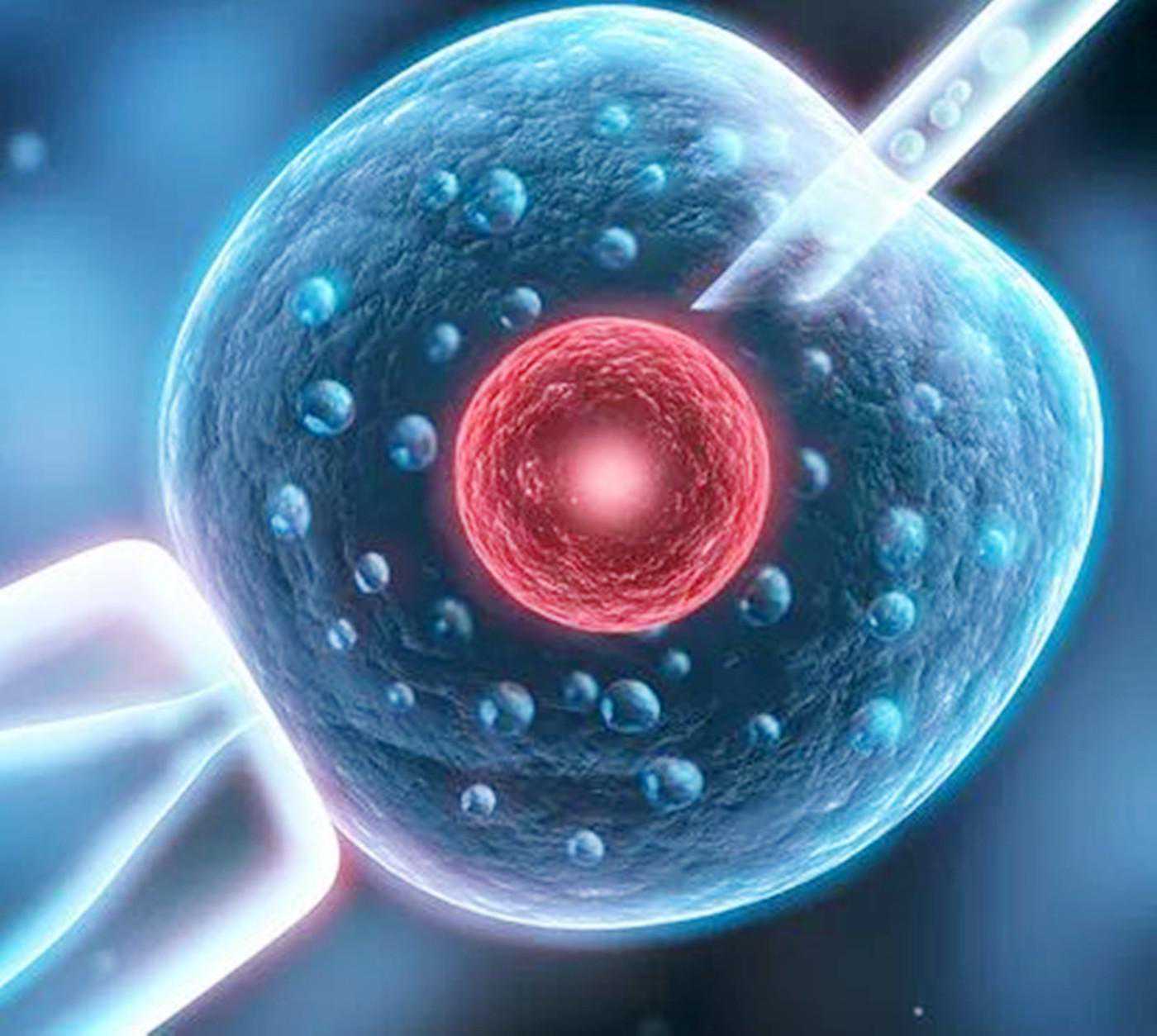 试管孕育能多次尝试？理论可行身体却扛不住，超过这次数最好放弃