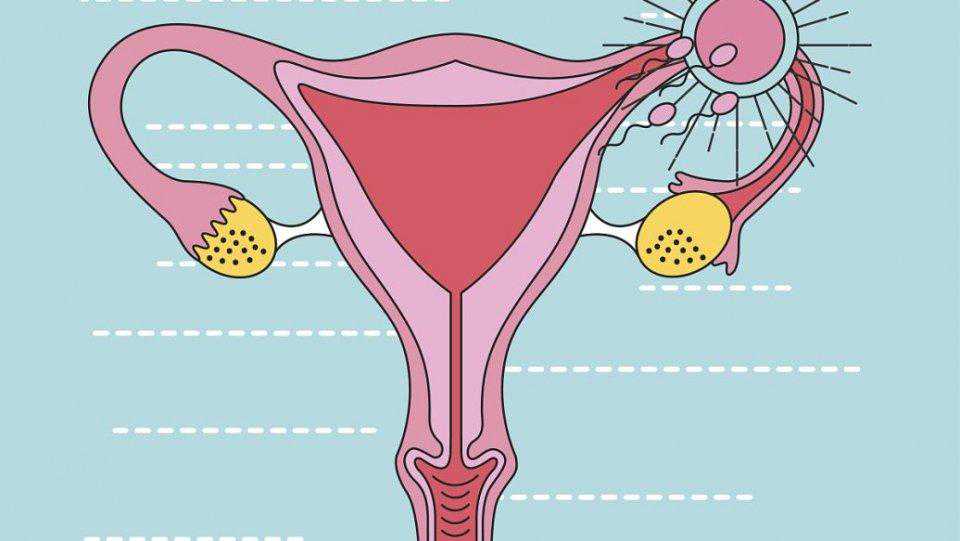 生殖医生支招：想提高试管婴儿移植成功率，这8大实用技巧收好