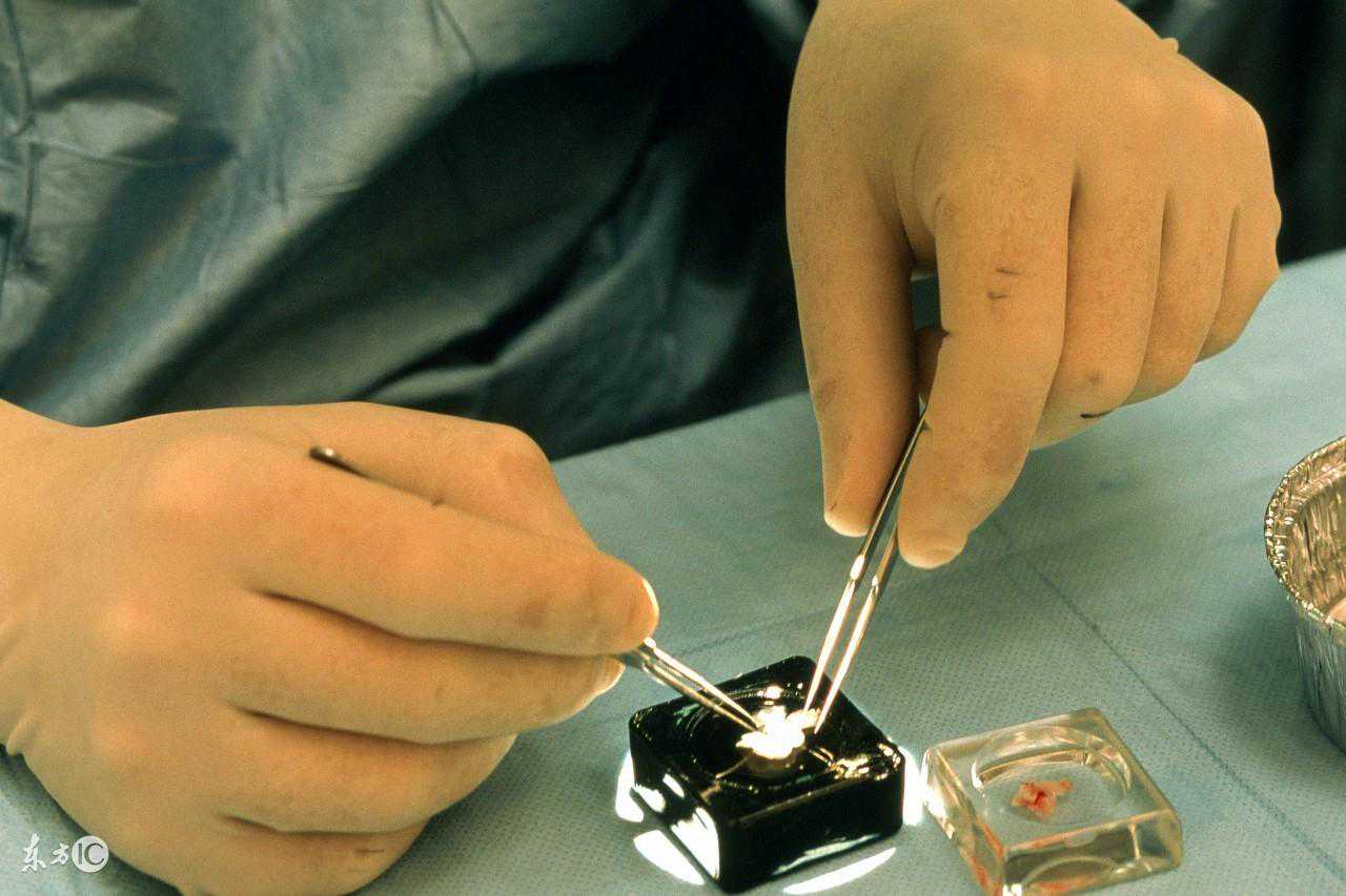 好孕分享，艰辛试管之路，一次移植成功怀孕