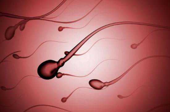 男性的十大克星，备孕的男性要早了解！