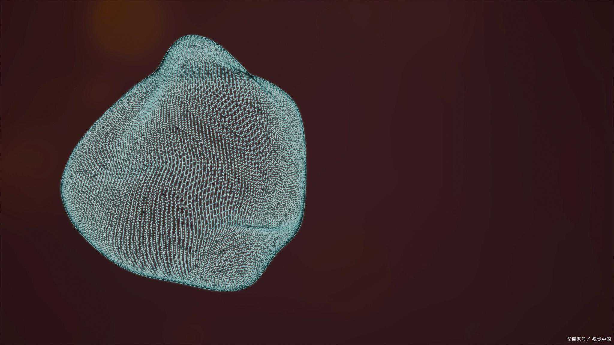 备孕前做好这些准备，避免胎儿畸形