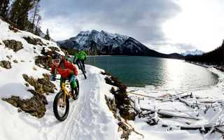 “把公公的精子捐给我用吧”，女子和丈夫提出这个要求，丈夫和家人竟然同意