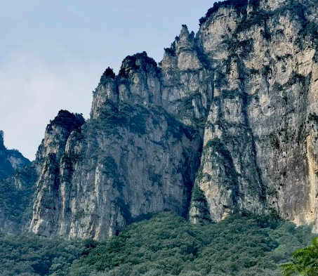 痛经？月经不规律？你可能是子宫内膜异位症